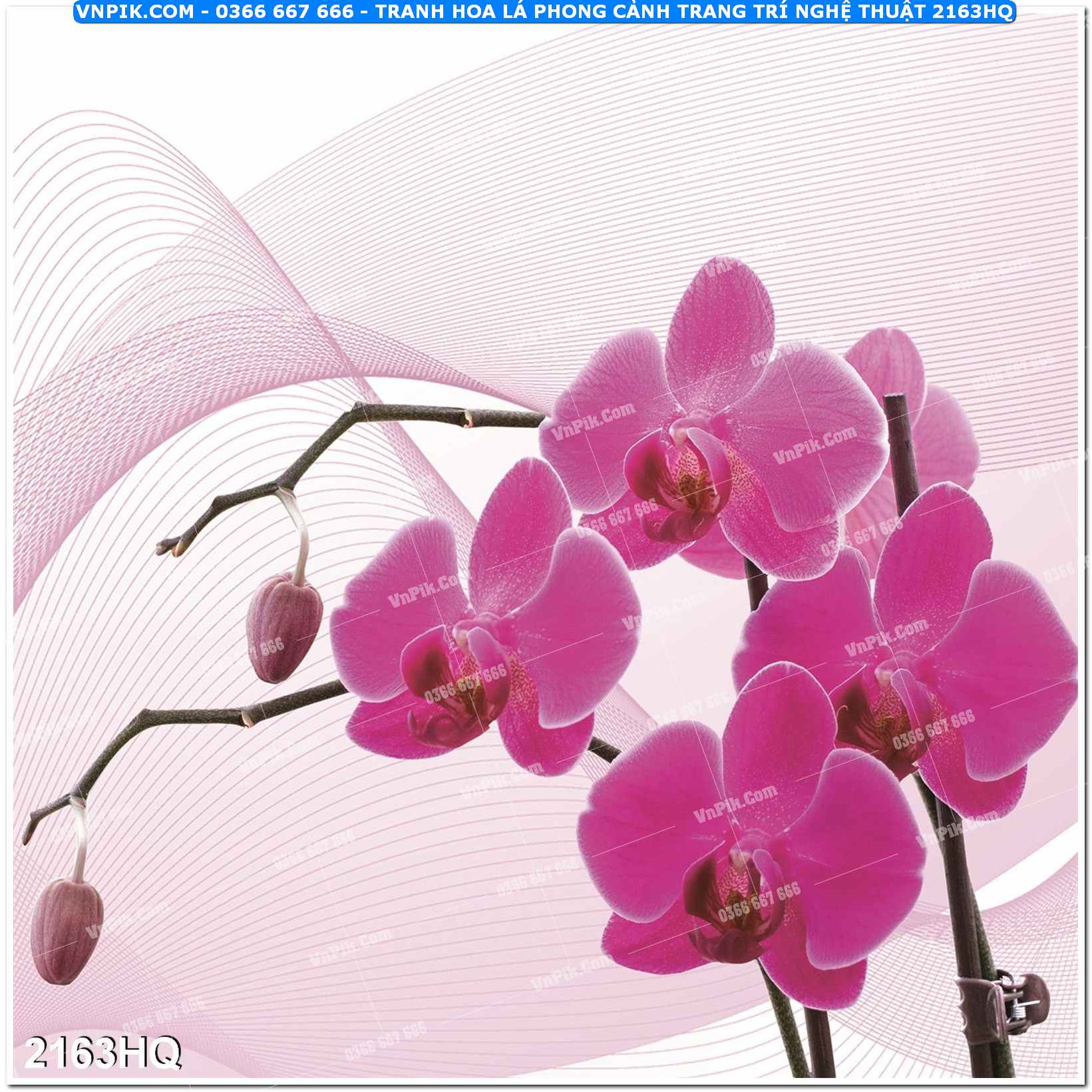 Tranh hoa lá phong cảnh trang trí nghệ thuật 2163HQ