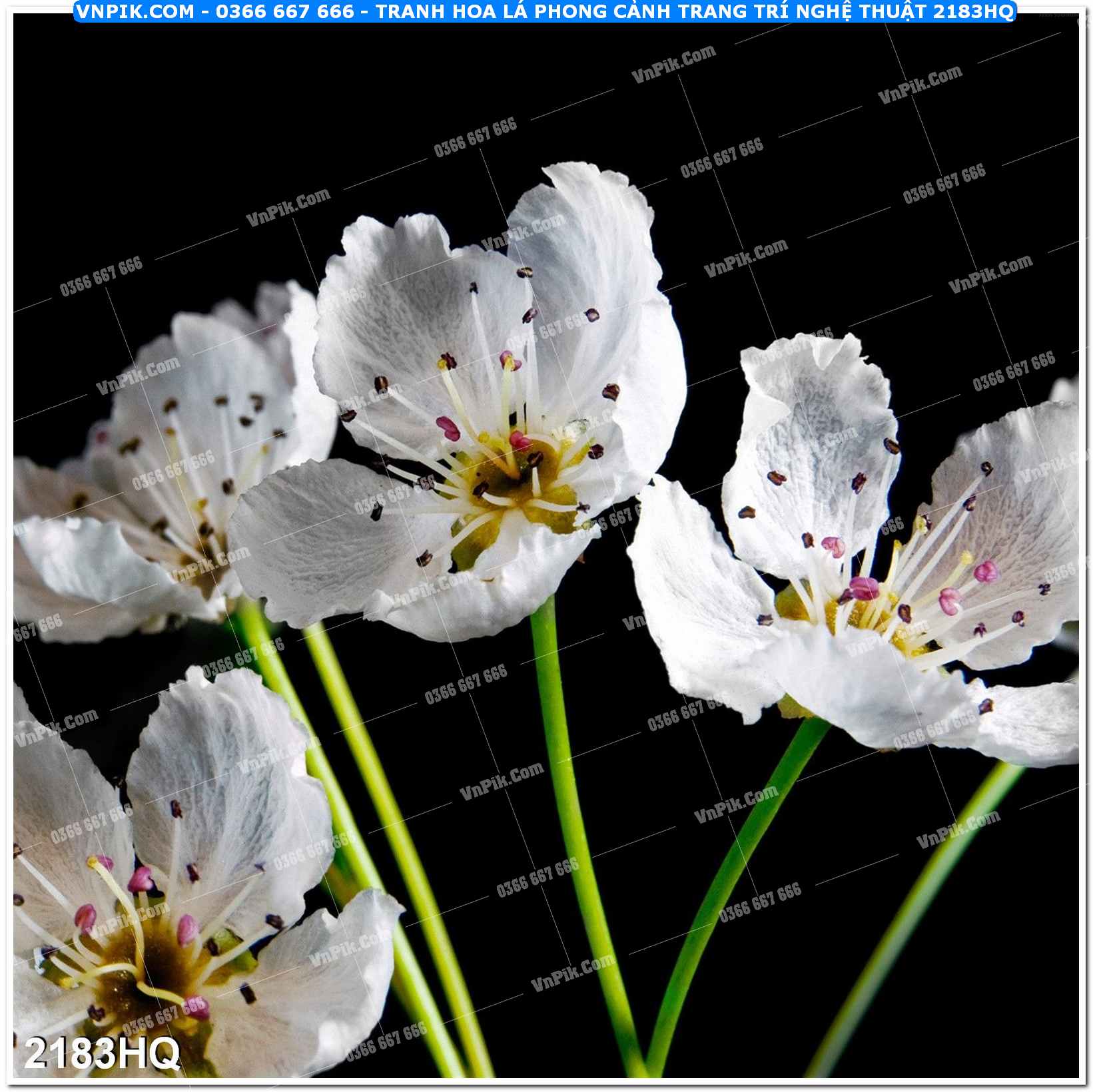 Tranh hoa lá phong cảnh trang trí nghệ thuật 2183HQ