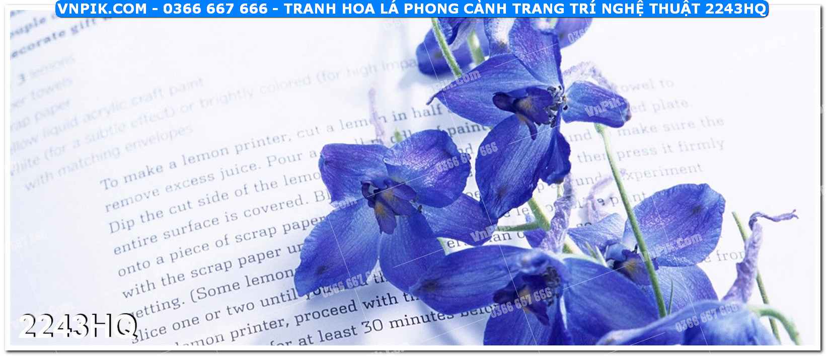 Tranh hoa lá phong cảnh trang trí nghệ thuật 2243HQ