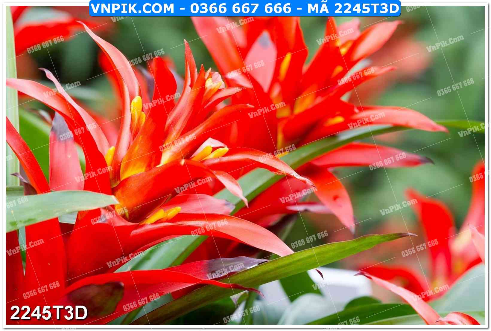 Trah Treo Tường – Tranh 3D Hiện Đại 2245T3D