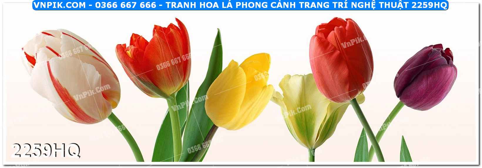 Tranh hoa lá phong cảnh trang trí nghệ thuật 2259HQ