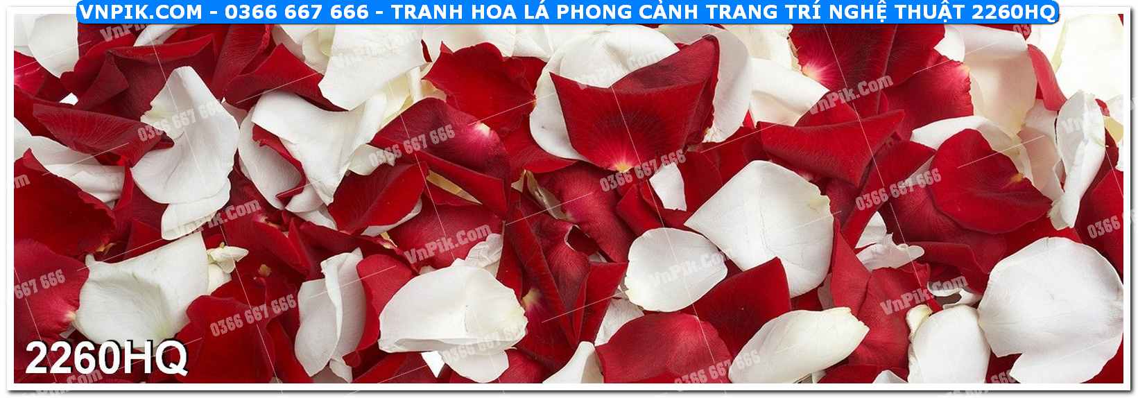 Tranh hoa lá phong cảnh trang trí nghệ thuật 2260HQ