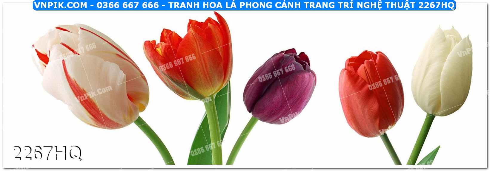 Tranh hoa lá phong cảnh trang trí nghệ thuật 2267HQ