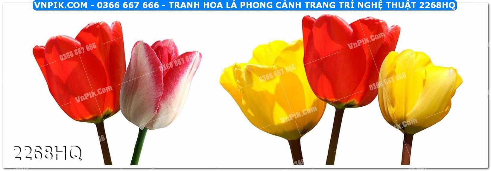 Tranh hoa lá phong cảnh trang trí nghệ thuật 2268HQ