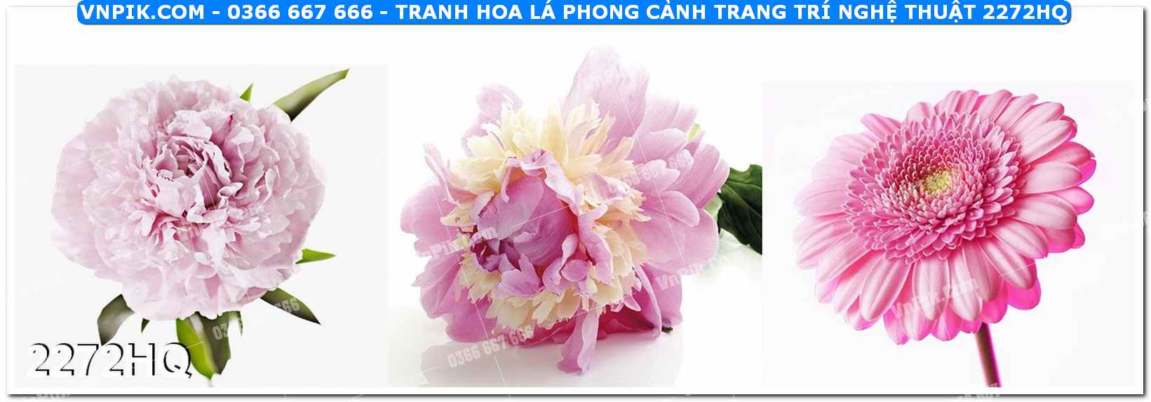 Tranh hoa lá phong cảnh trang trí nghệ thuật 2272HQ