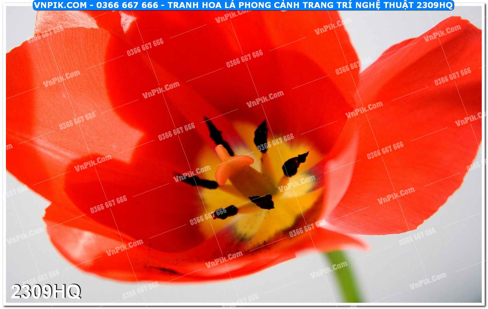 Tranh hoa lá phong cảnh trang trí nghệ thuật 2309HQ