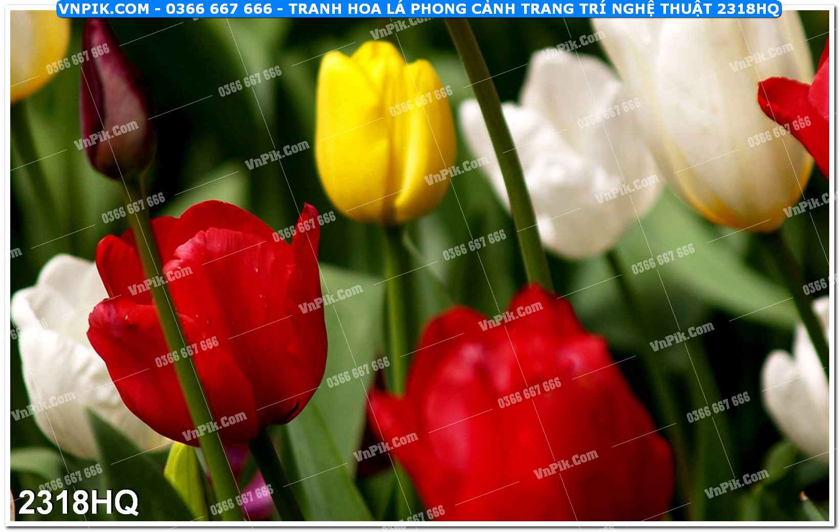 Tranh hoa lá phong cảnh trang trí nghệ thuật 2318HQ