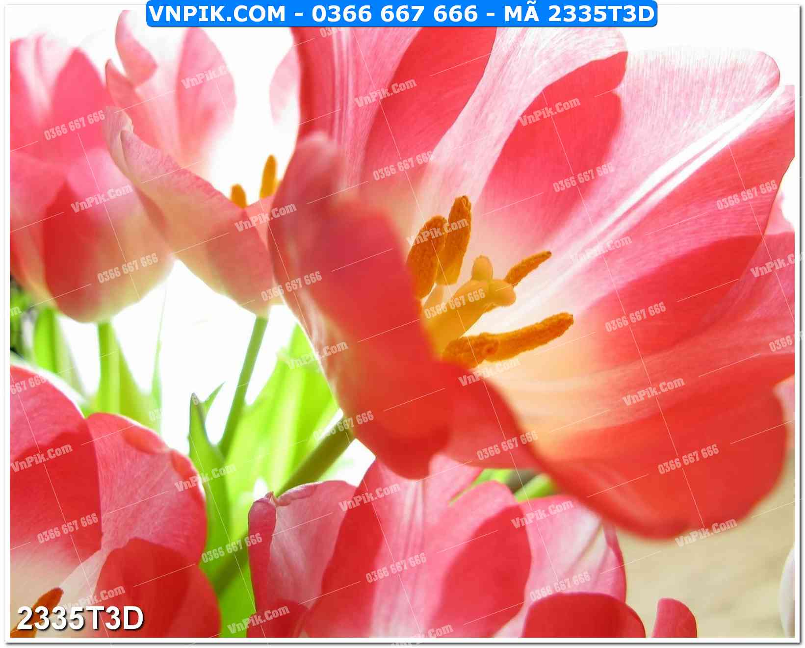 Trah Treo Tường – Tranh 3D Hiện Đại 2335T3D