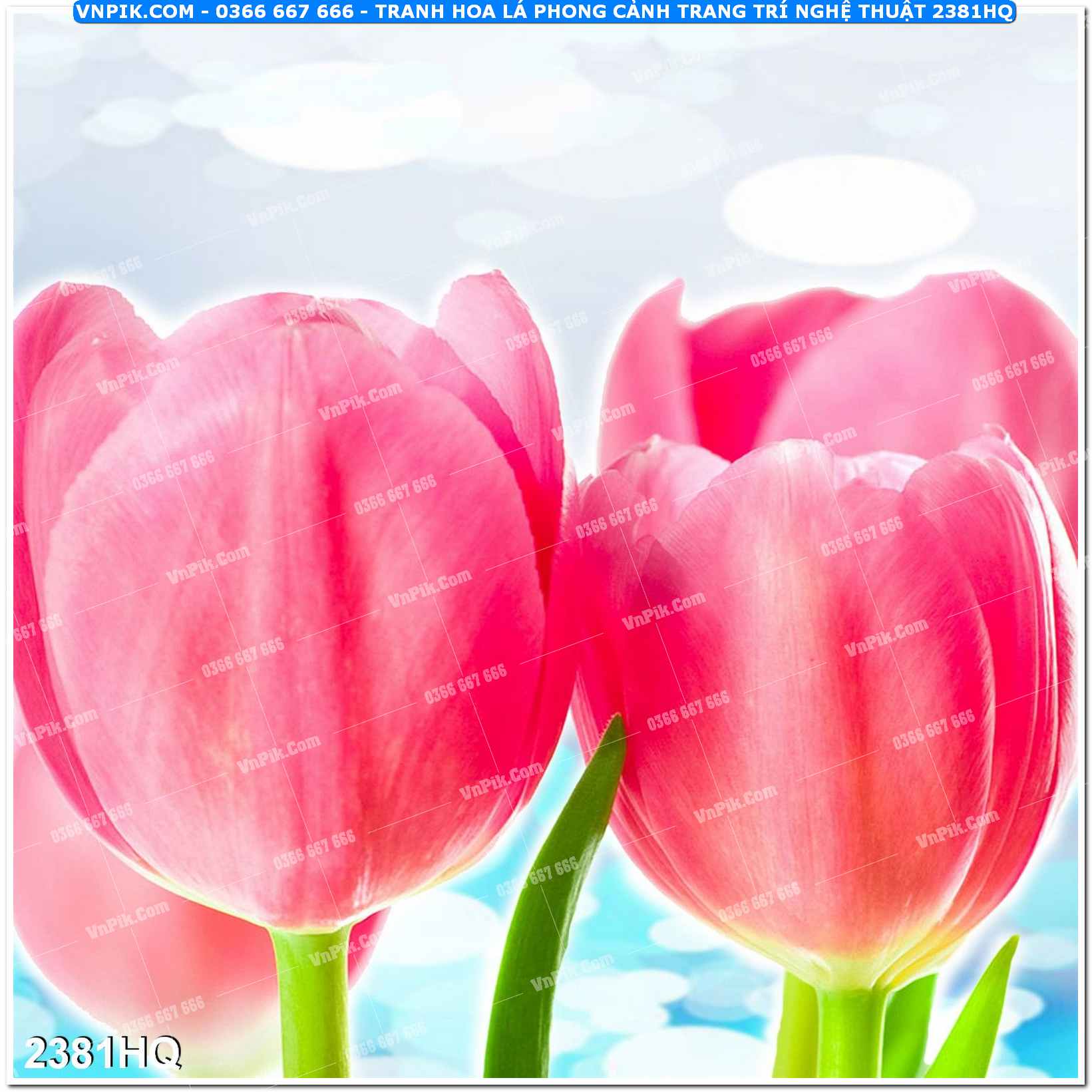Tranh hoa lá phong cảnh trang trí nghệ thuật 2381HQ