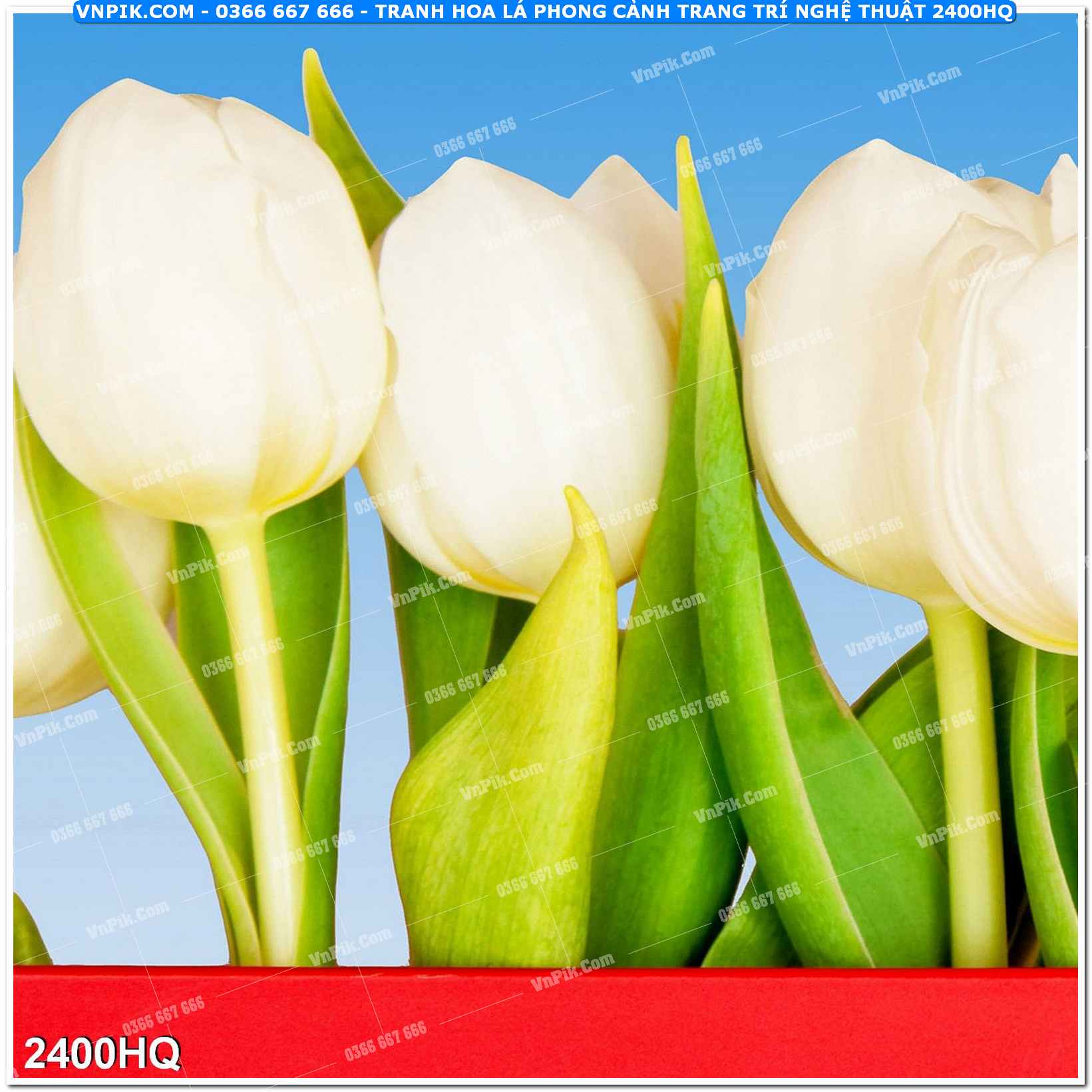 Tranh hoa lá phong cảnh trang trí nghệ thuật 2400HQ