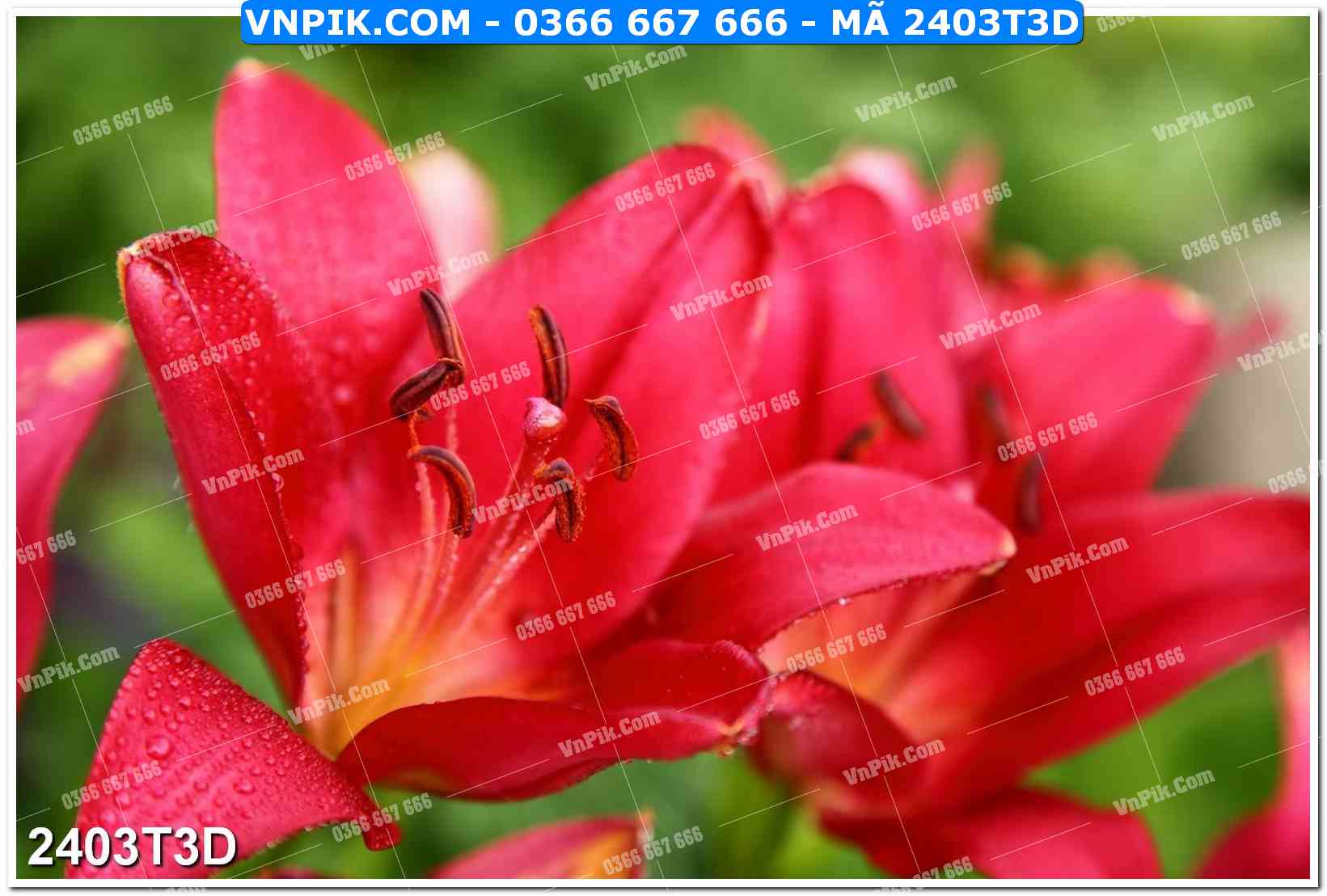 Trah Treo Tường – Tranh 3D Hiện Đại 2403T3D