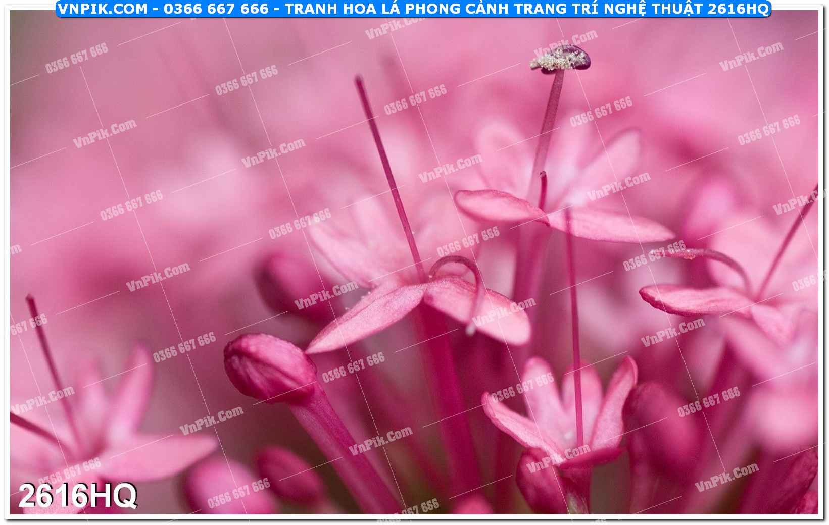 Tranh hoa lá phong cảnh trang trí nghệ thuật 2616HQ