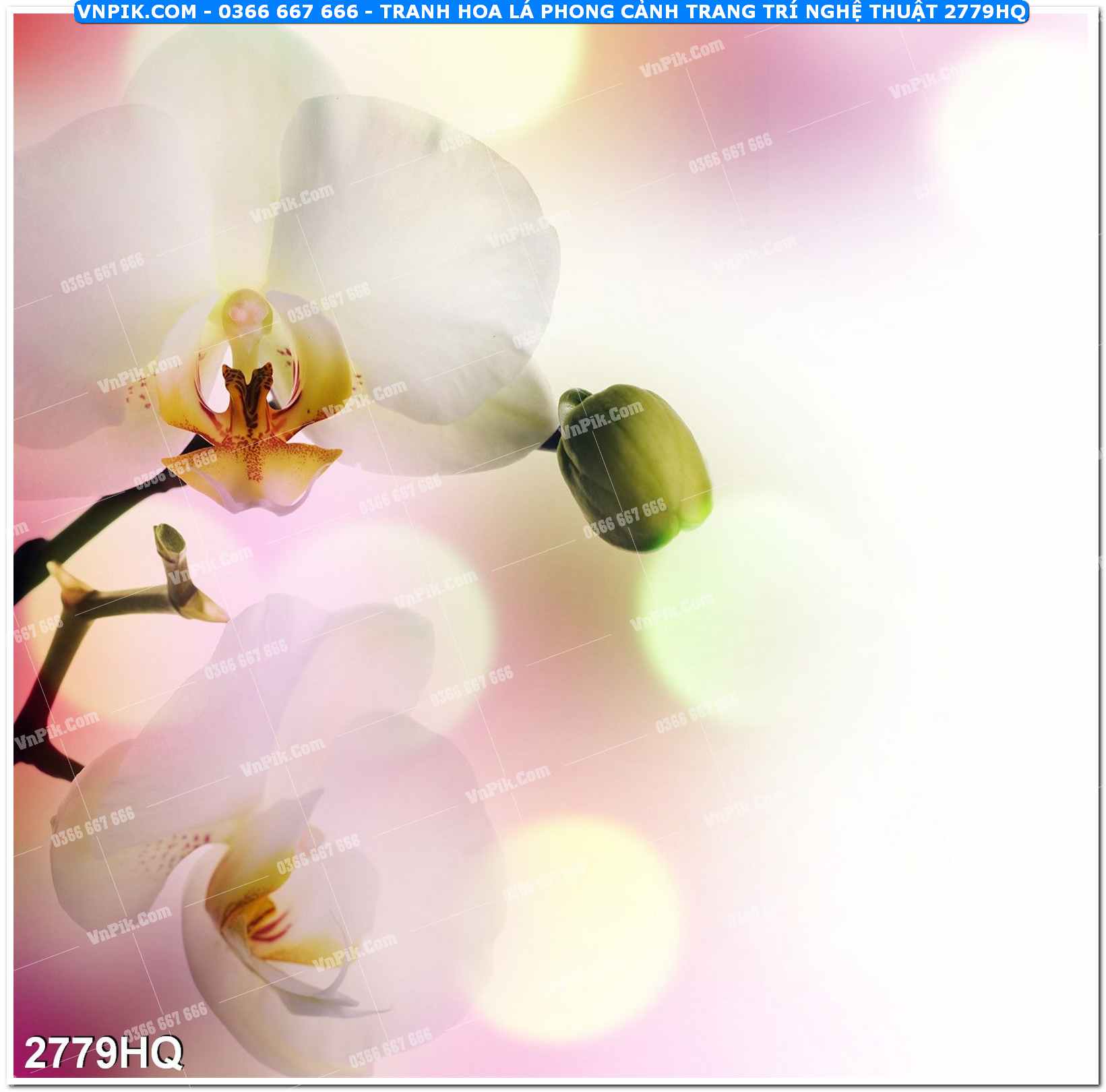 Tranh hoa lá phong cảnh trang trí nghệ thuật 2779HQ
