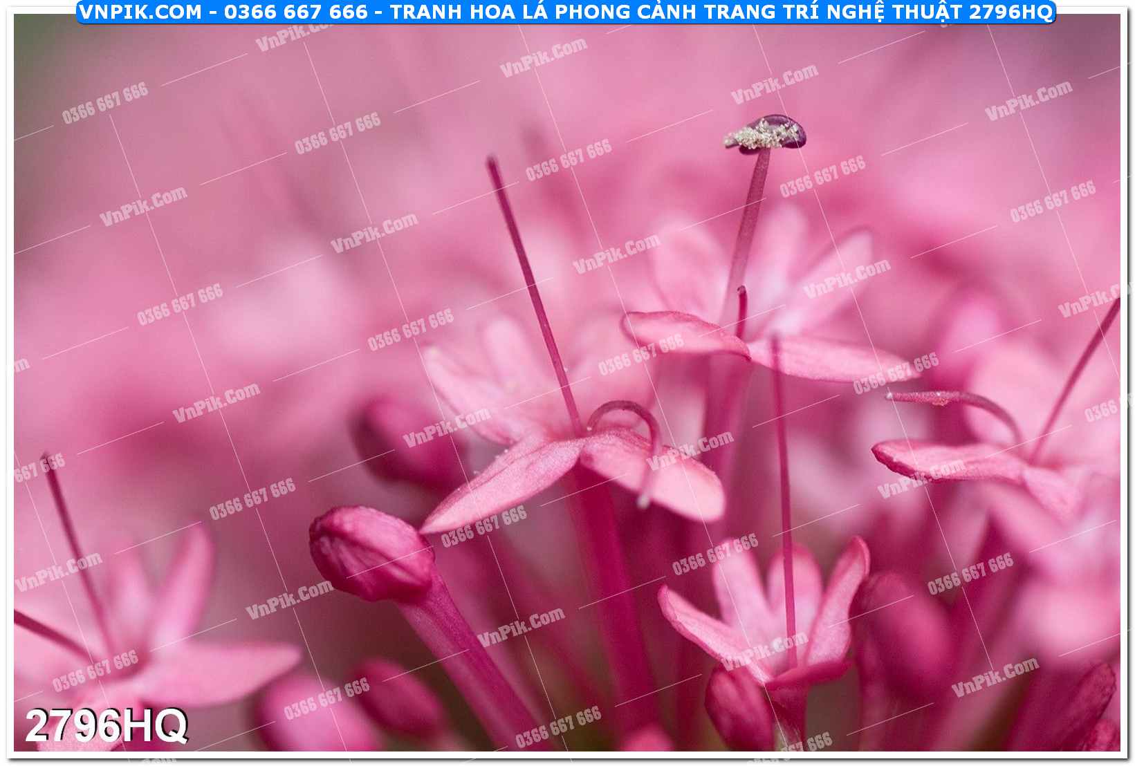 Tranh hoa lá phong cảnh trang trí nghệ thuật 2796HQ