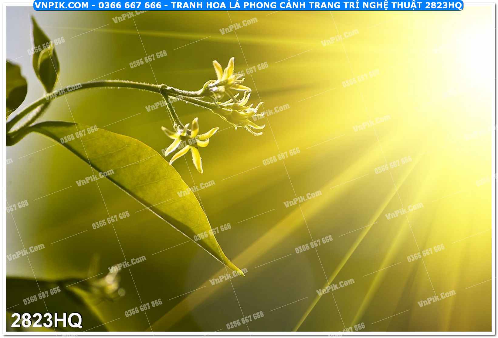 Tranh hoa lá phong cảnh trang trí nghệ thuật 2823HQ