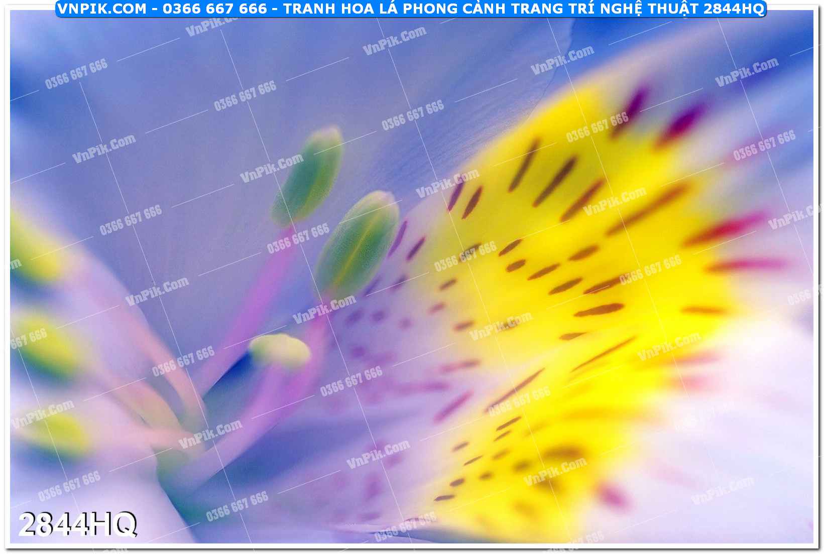 Tranh hoa lá phong cảnh trang trí nghệ thuật 2844HQ