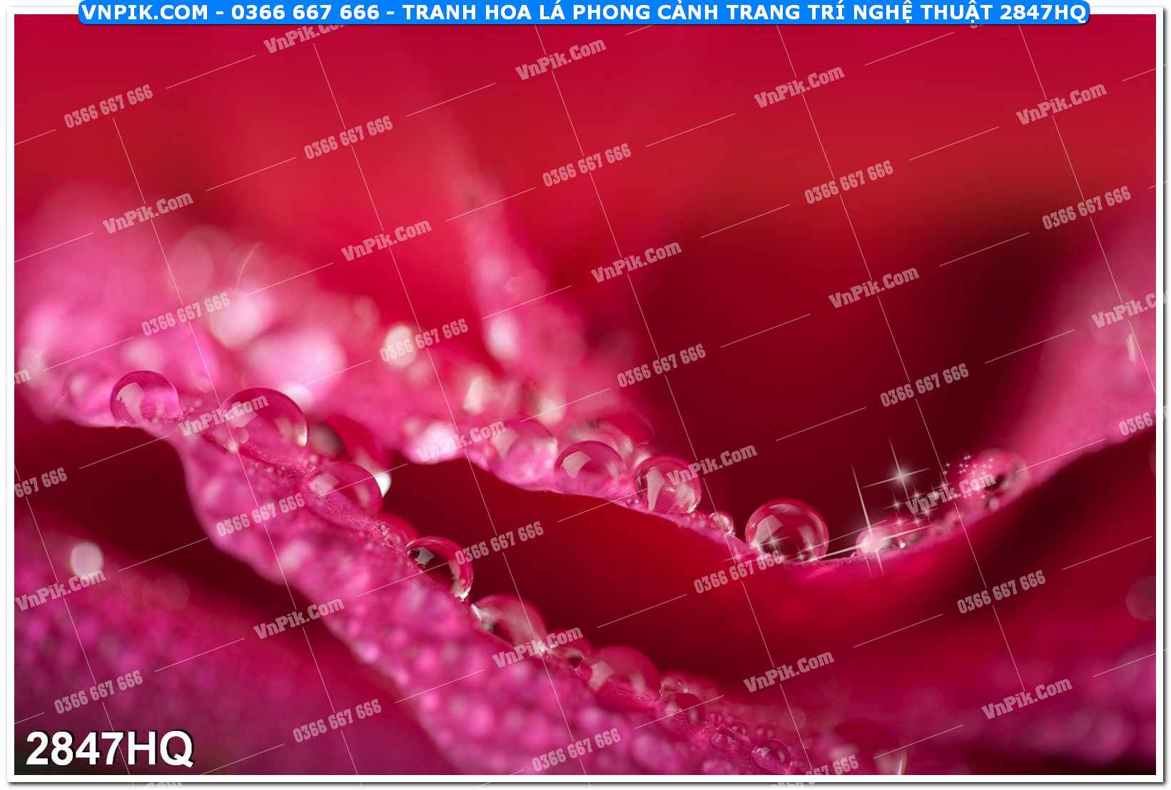 Tranh hoa lá phong cảnh trang trí nghệ thuật 2847HQ