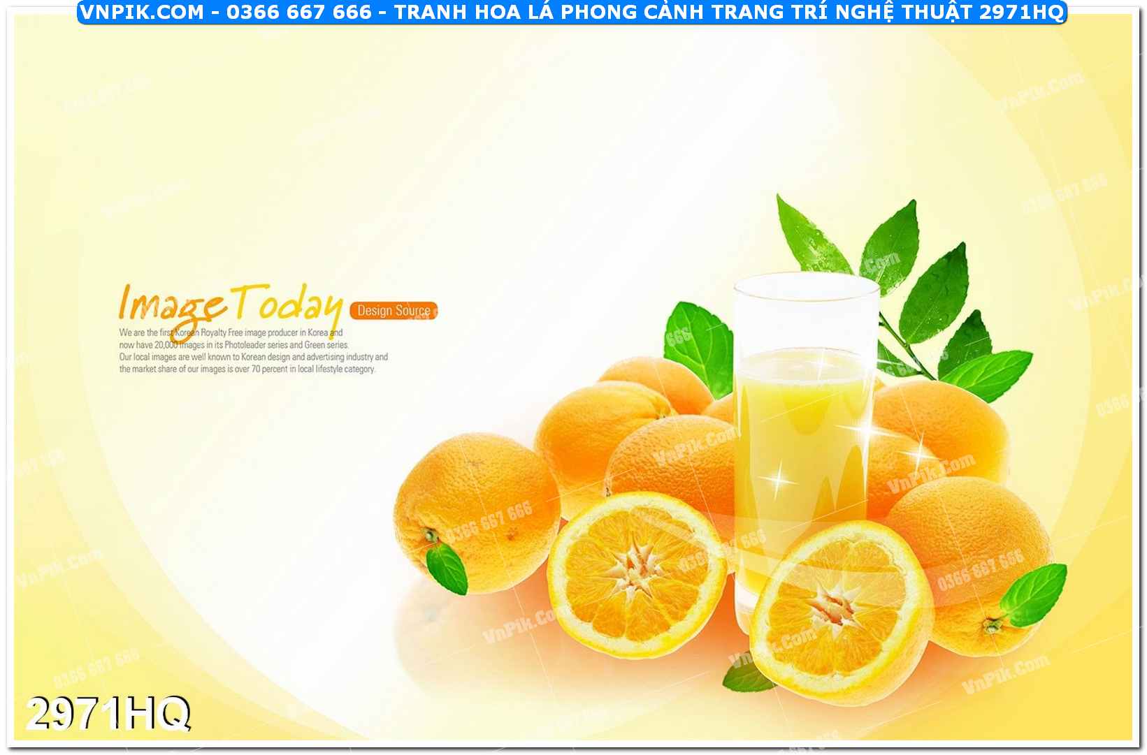 Tranh hoa lá phong cảnh trang trí nghệ thuật 2971HQ