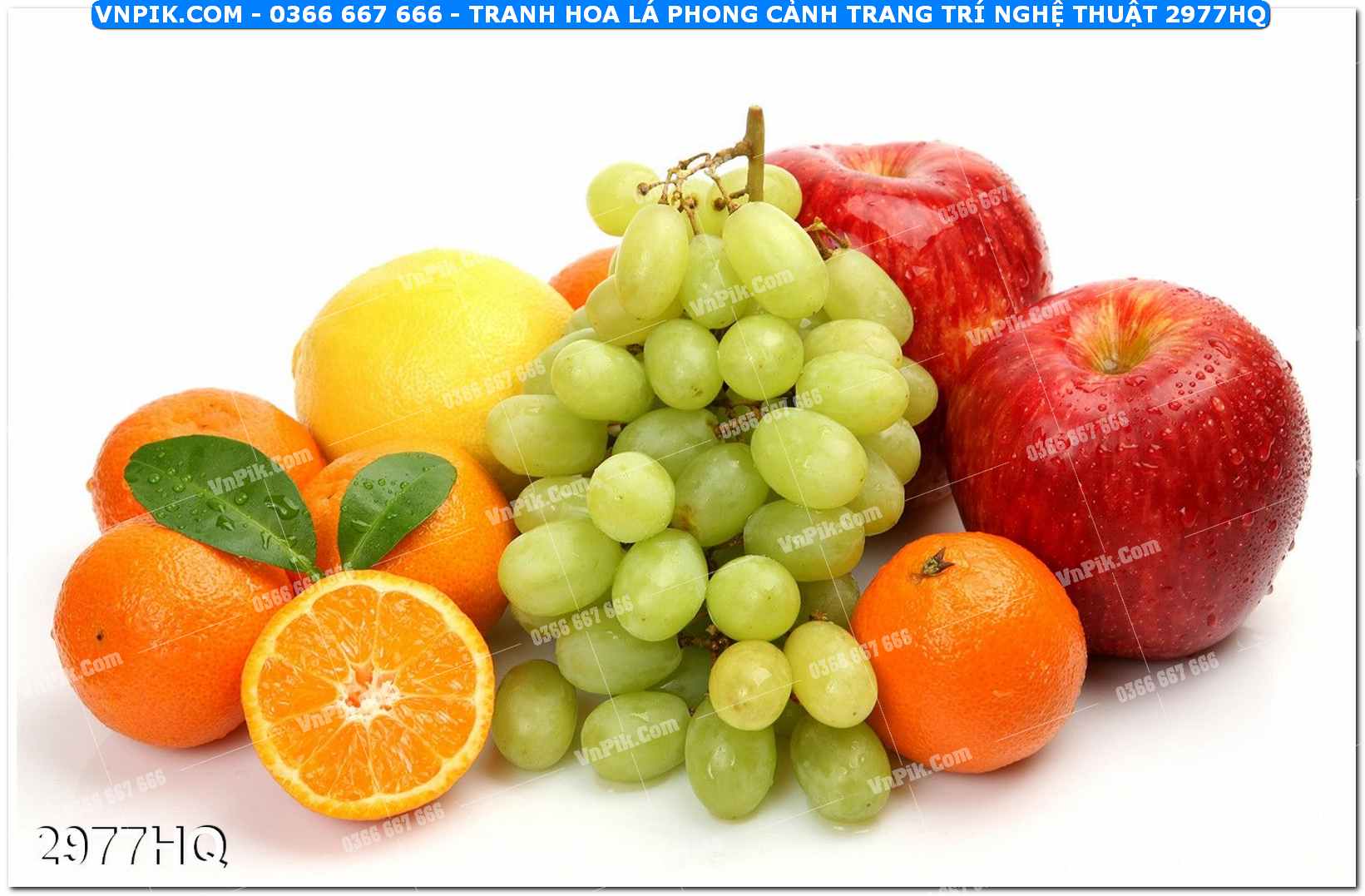 Tranh hoa lá phong cảnh trang trí nghệ thuật 2977HQ
