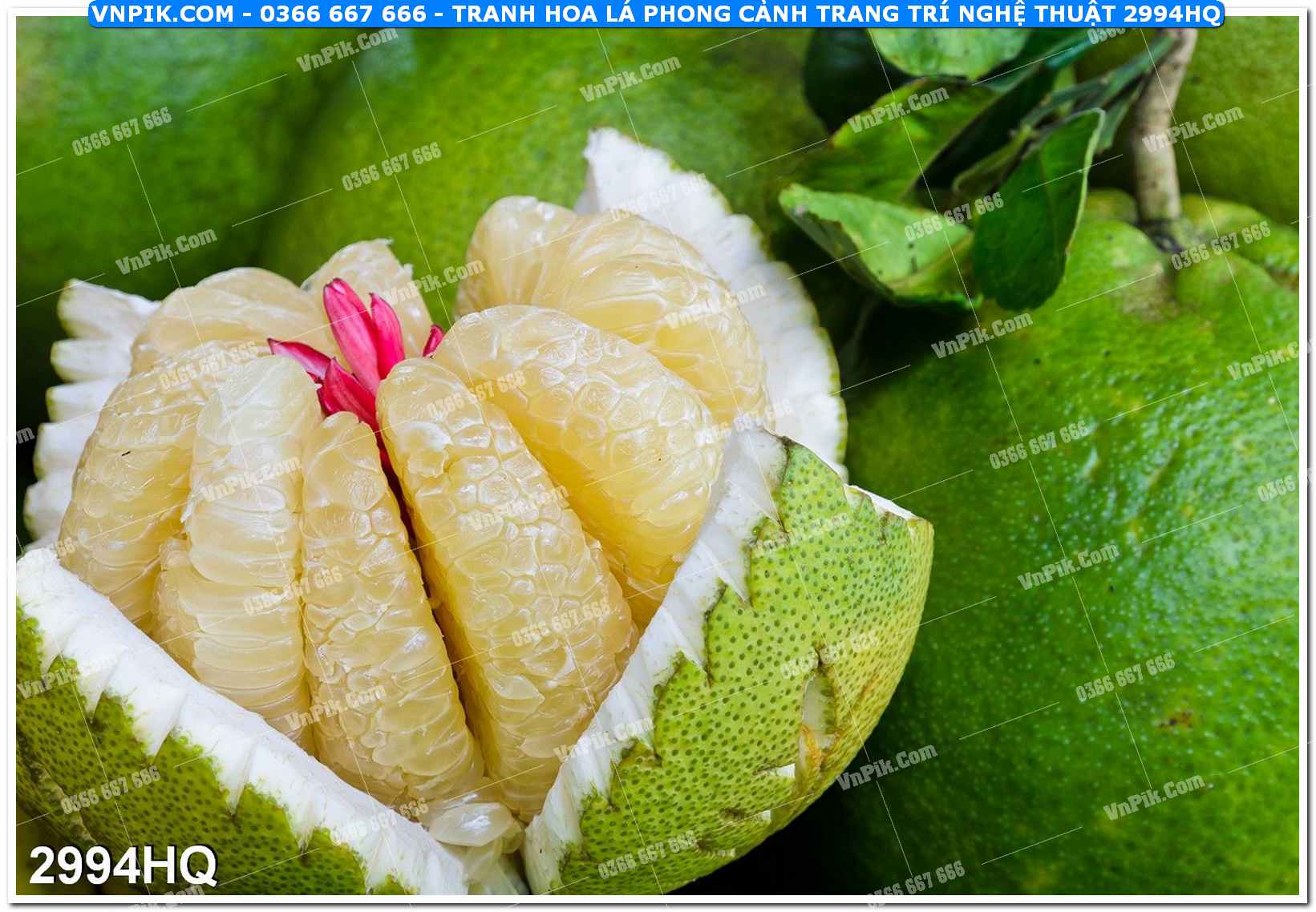 Tranh hoa lá phong cảnh trang trí nghệ thuật 2994HQ