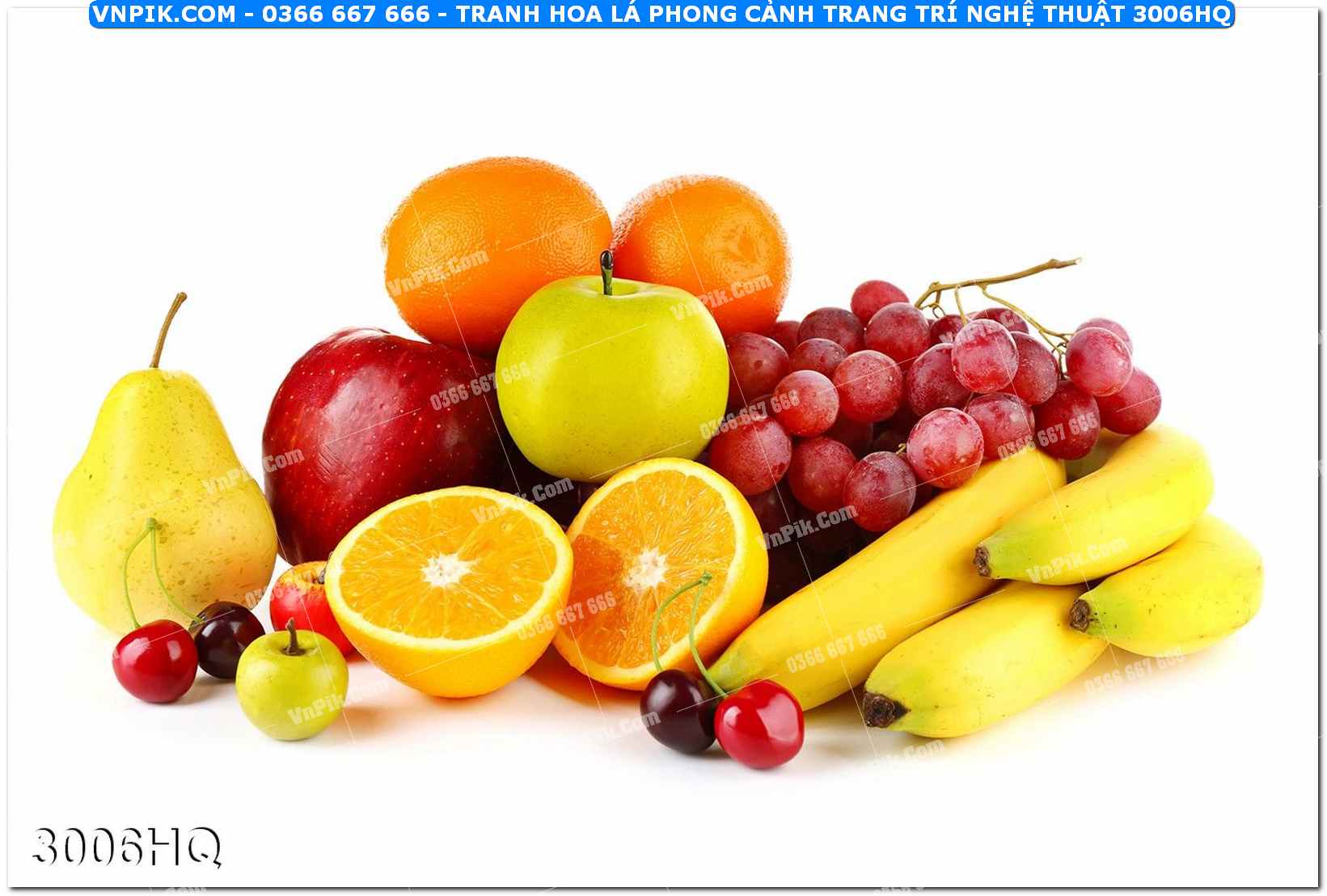 Tranh hoa lá phong cảnh trang trí nghệ thuật 3006HQ