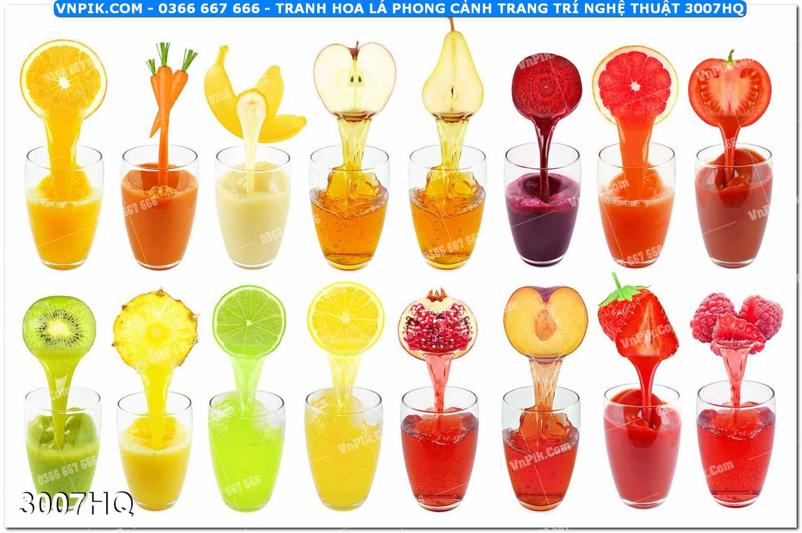 Tranh hoa lá phong cảnh trang trí nghệ thuật 3007HQ