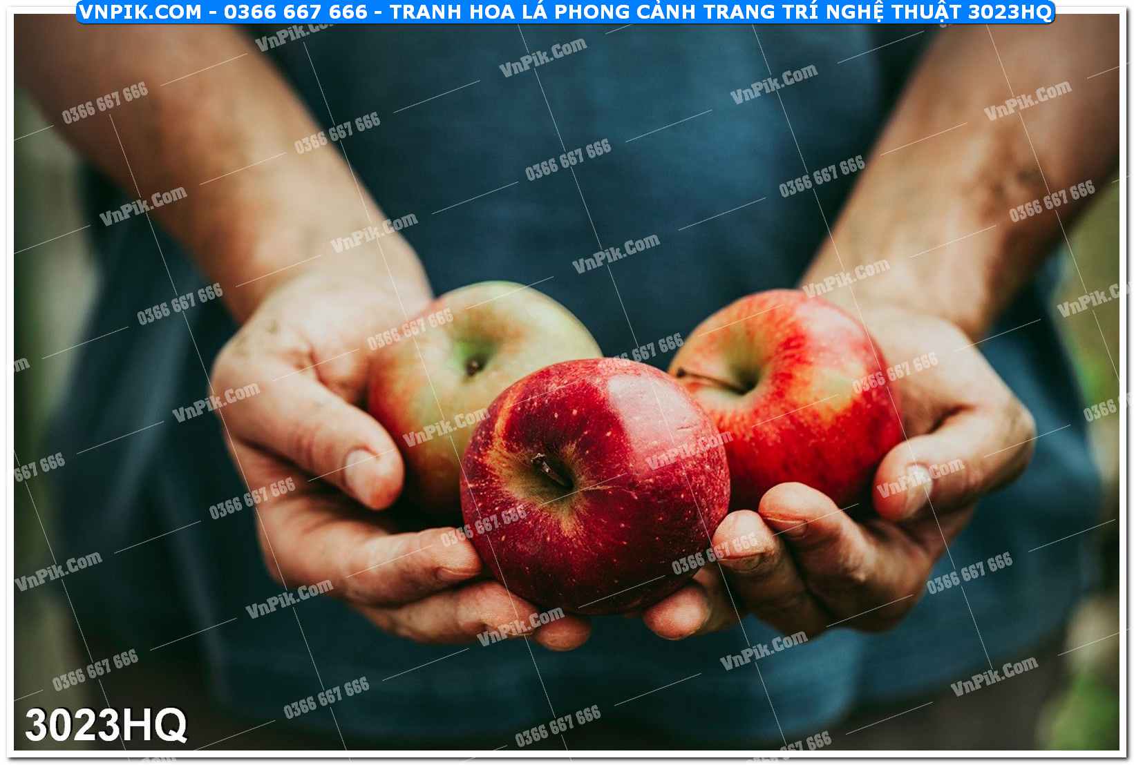 Tranh hoa lá phong cảnh trang trí nghệ thuật 3023HQ