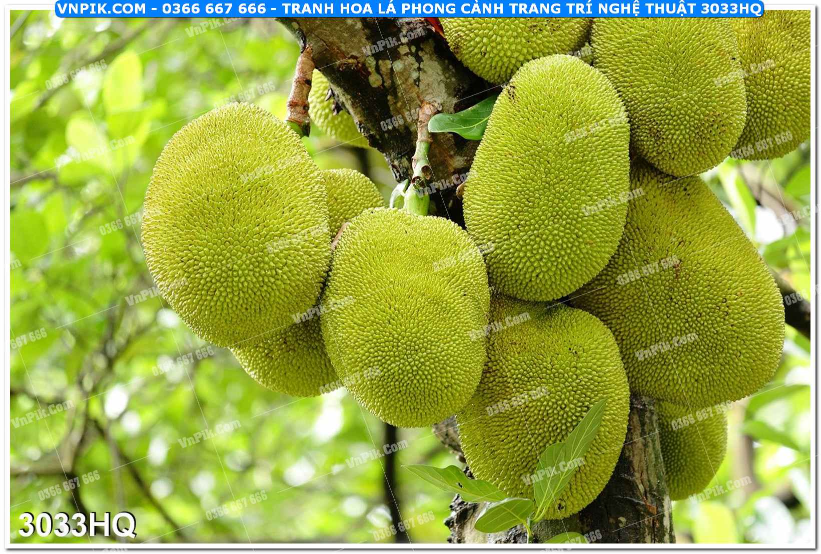 Tranh hoa lá phong cảnh trang trí nghệ thuật 3033HQ