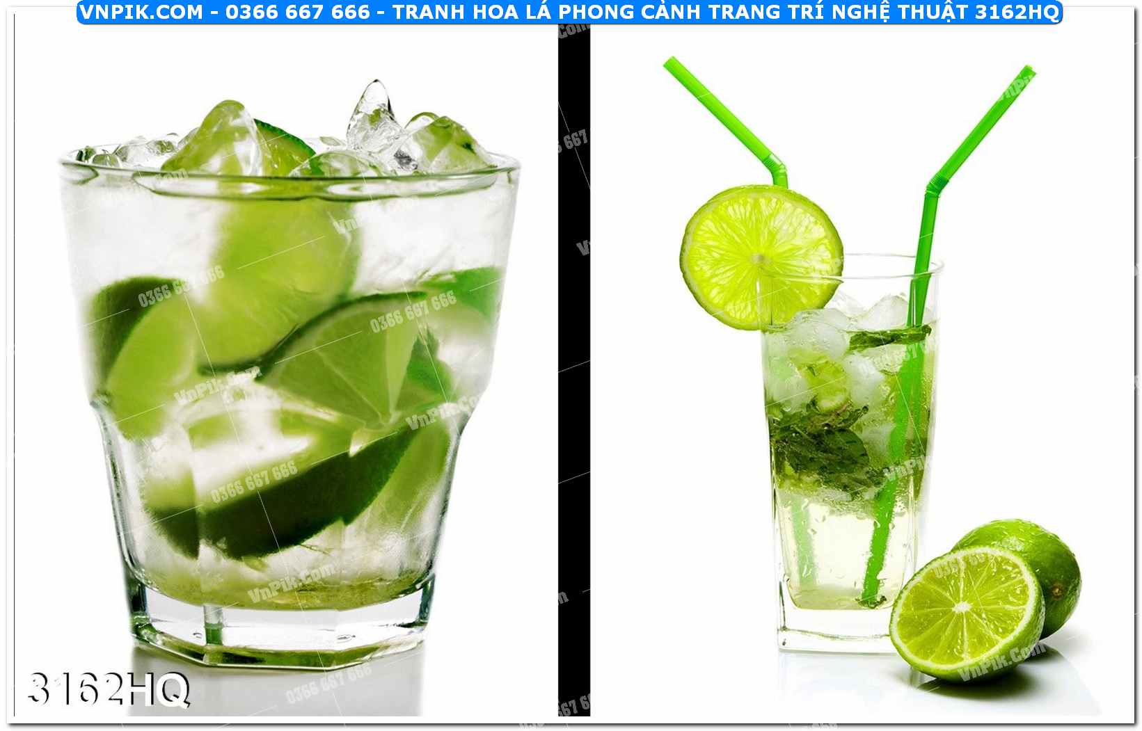Tranh hoa lá phong cảnh trang trí nghệ thuật 3162HQ