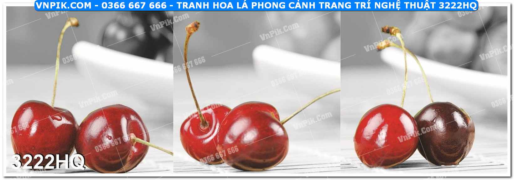 Tranh hoa lá phong cảnh trang trí nghệ thuật 3222HQ