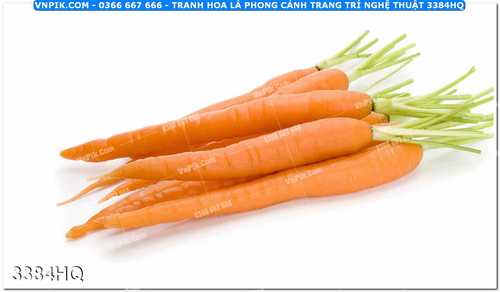 Tranh hoa lá phong cảnh trang trí nghệ thuật 3384HQ