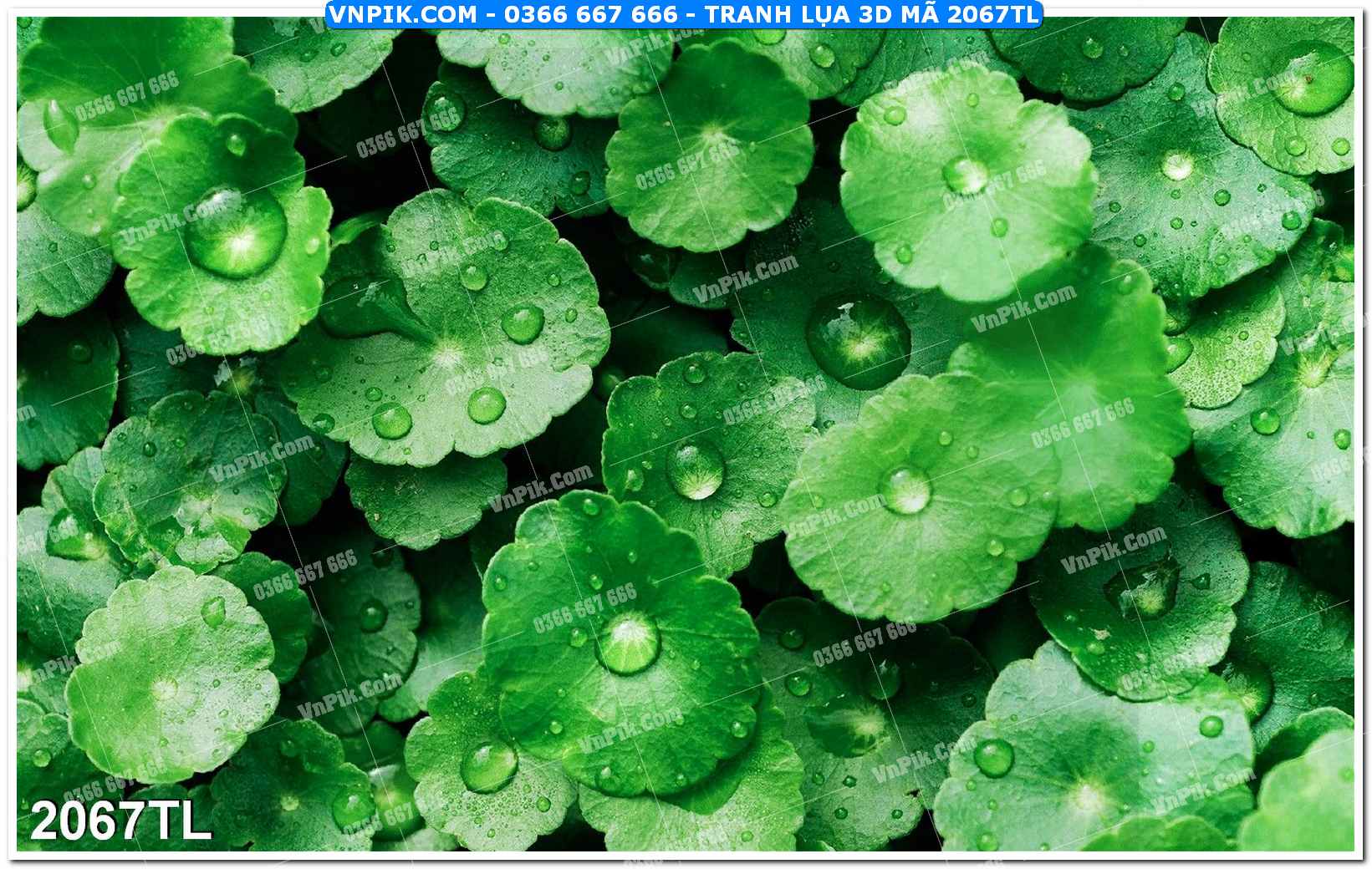 Tranh lụa 3D – Tranh trang trí dán tường 2067TL