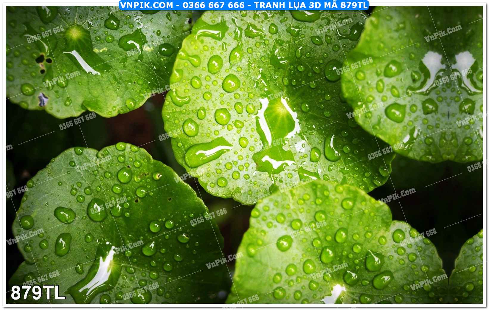 Tranh lụa 3D – Tranh trang trí dán tường 879TL