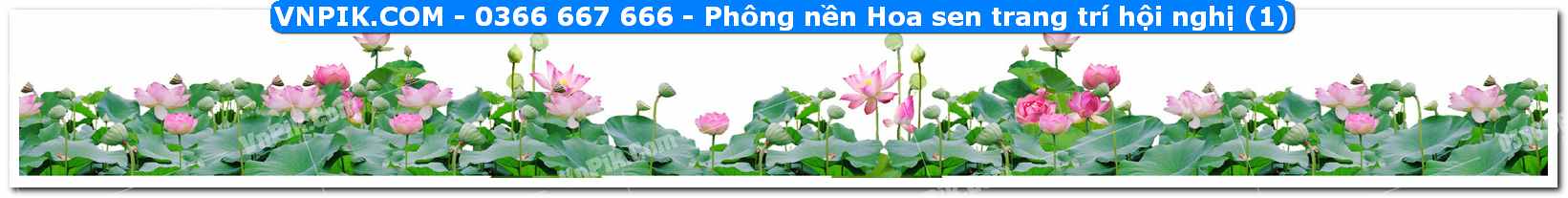 Phông nền Hoa sen trang trí hội nghị (1)