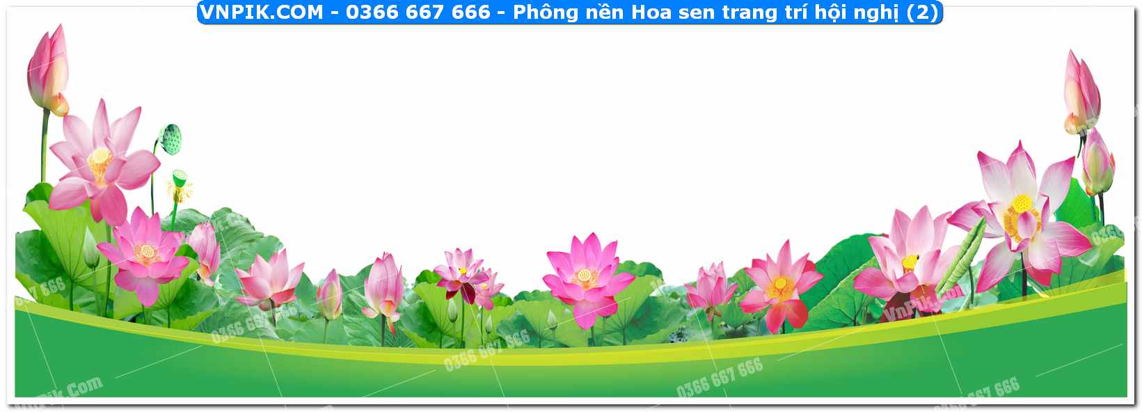 Phông nền Hoa sen trang trí hội nghị (2)