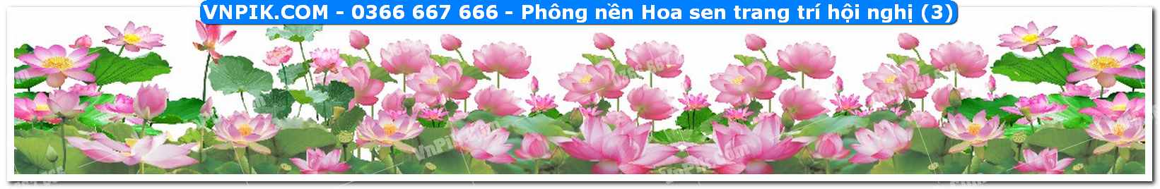 Phông nền Hoa sen trang trí hội nghị (3)