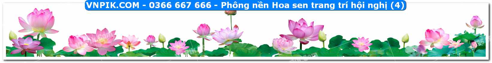 Phông nền Hoa sen trang trí hội nghị (4)