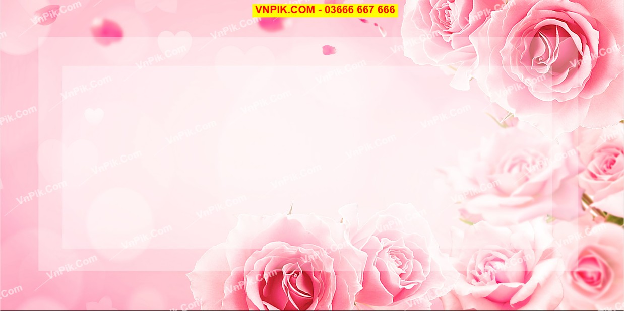 Vector 20 tháng 11 khung hình hoa hồng trang nhã và tinh tế