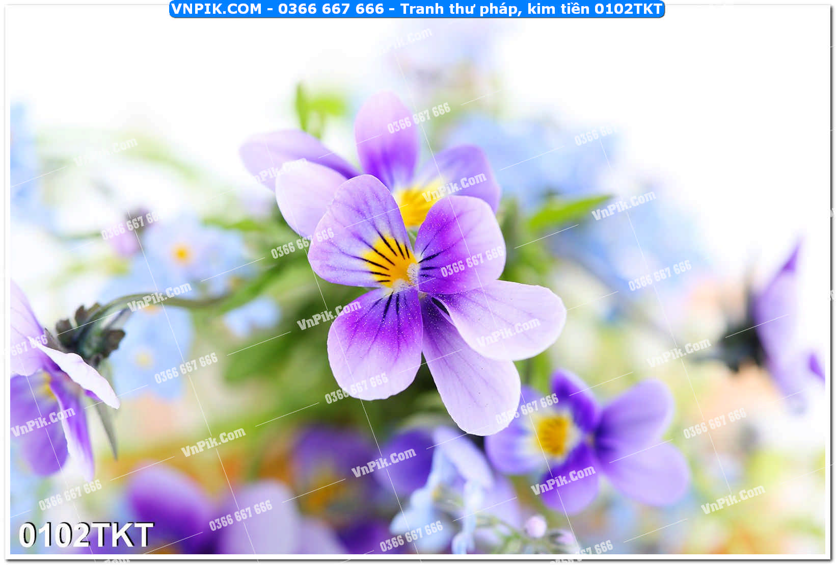 Tranh Thư Pháp – Kim Tiền 0102TKT