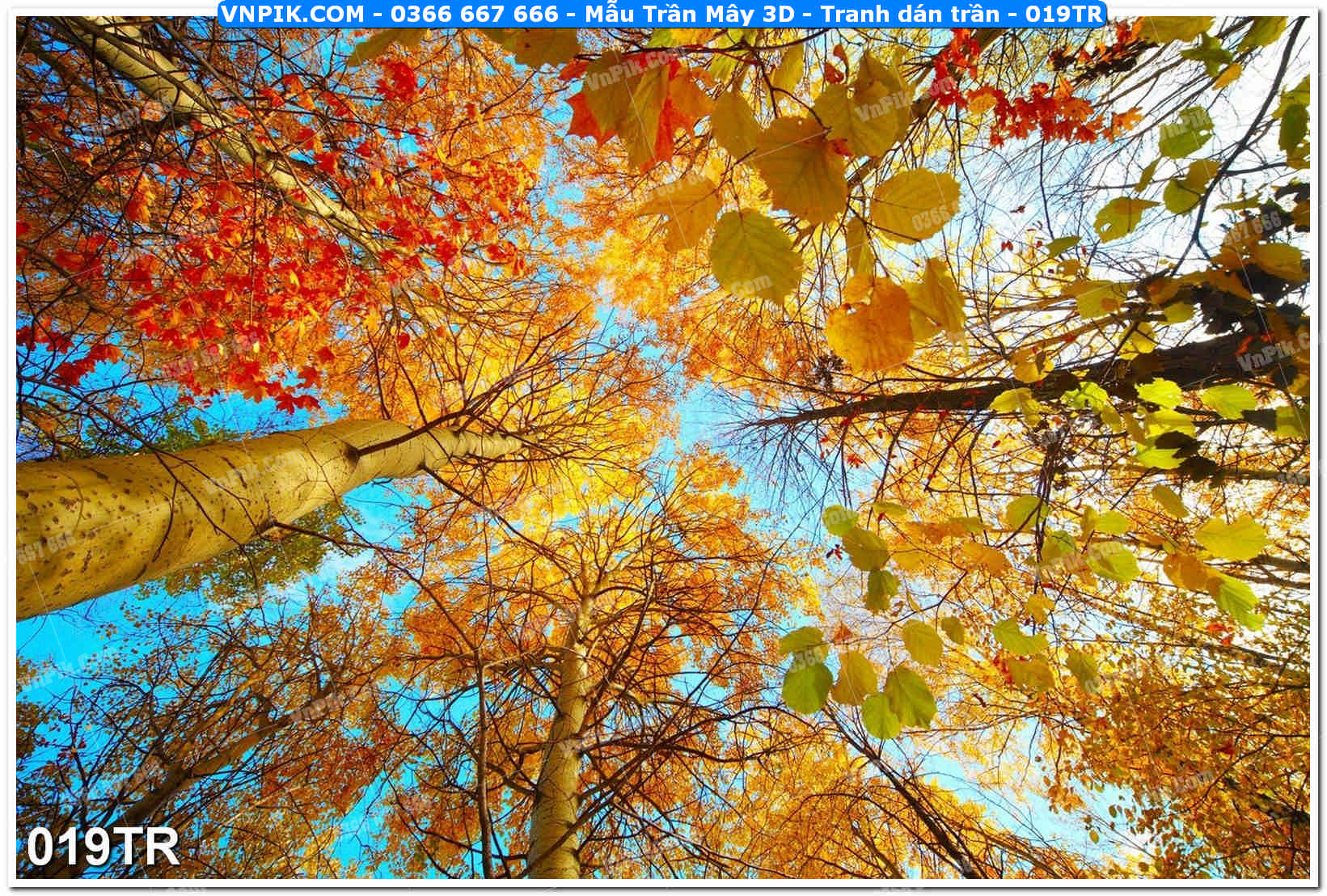 Mẫu Trần Mây 3D – Tranh dán trần 019TR
