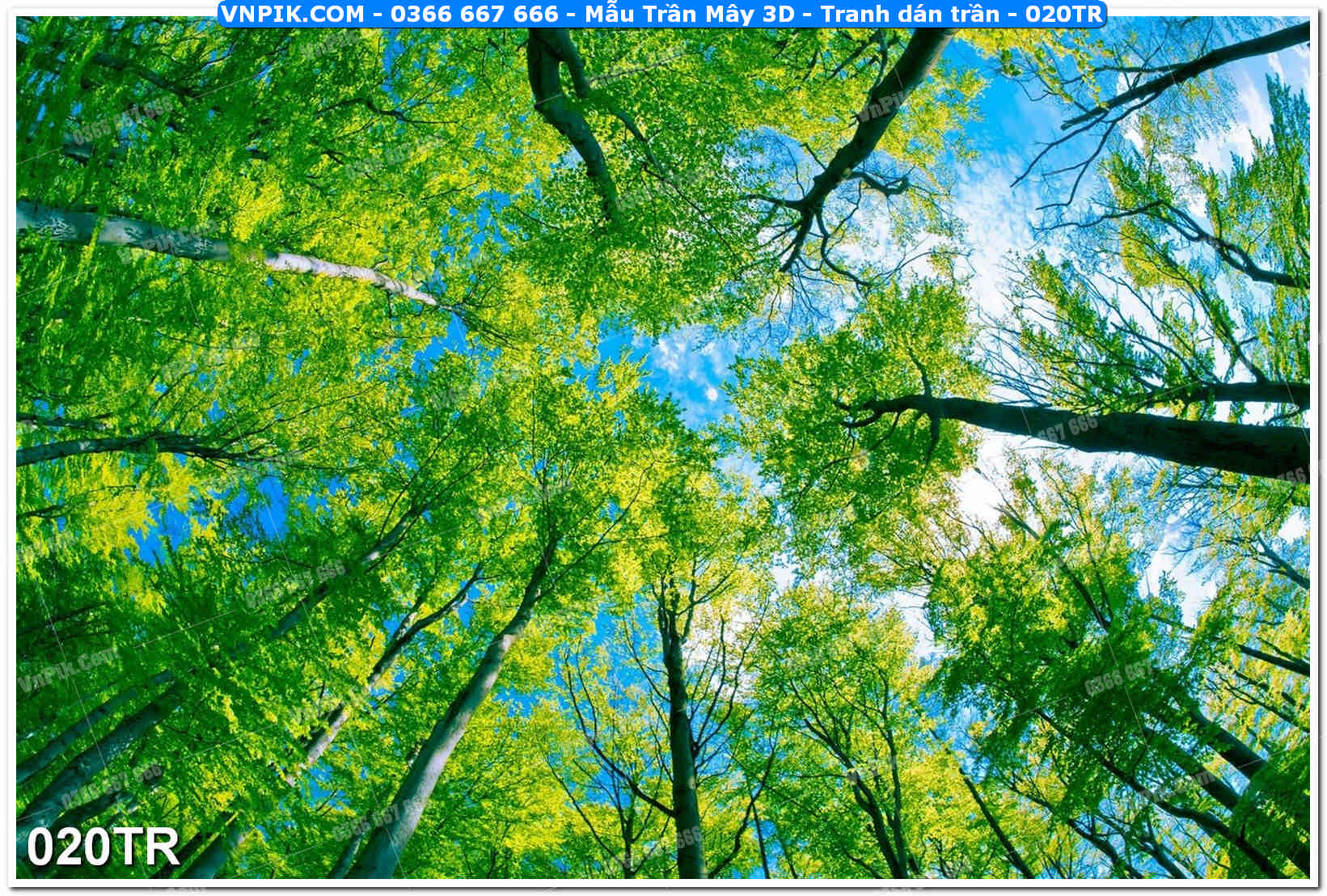 Mẫu Trần Mây 3D – Tranh dán trần 020TR