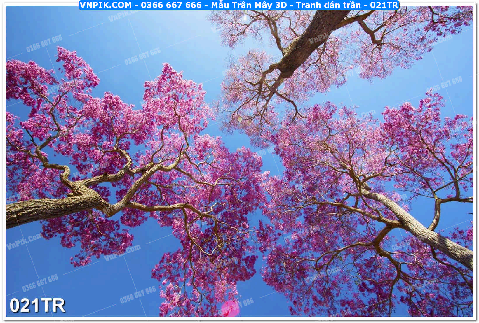 Mẫu Trần Mây 3D – Tranh dán trần 021TR