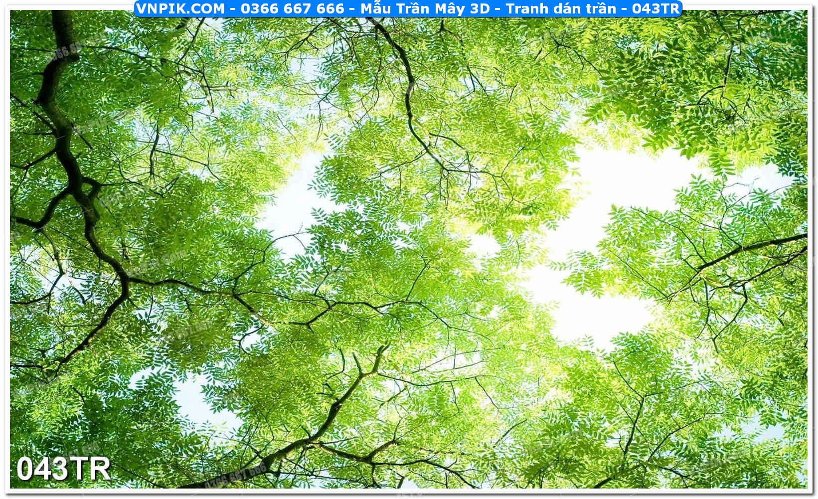 Mẫu Trần Mây 3D – Tranh dán trần 043TR