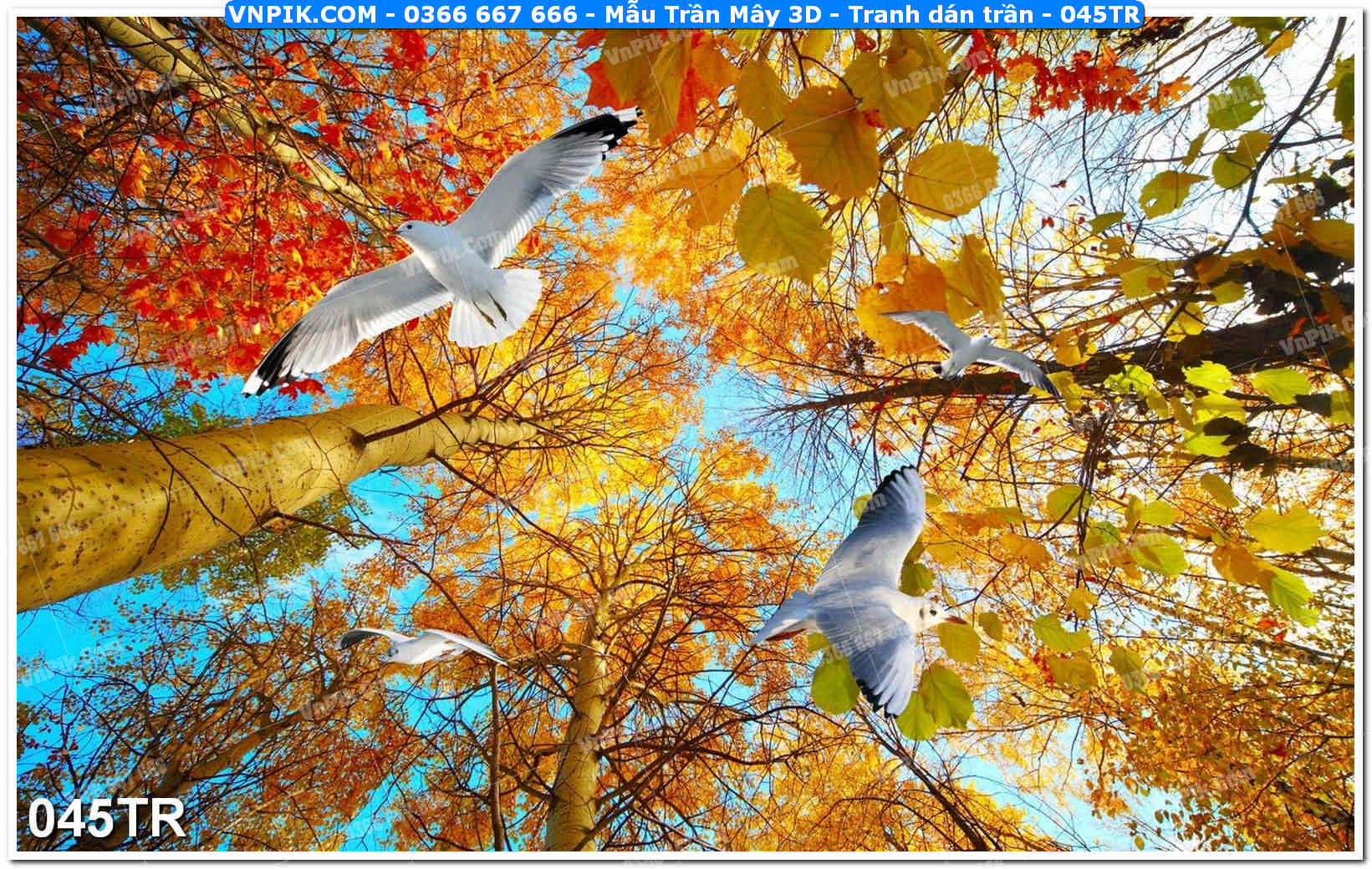 Mẫu Trần Mây 3D – Tranh dán trần 045TR