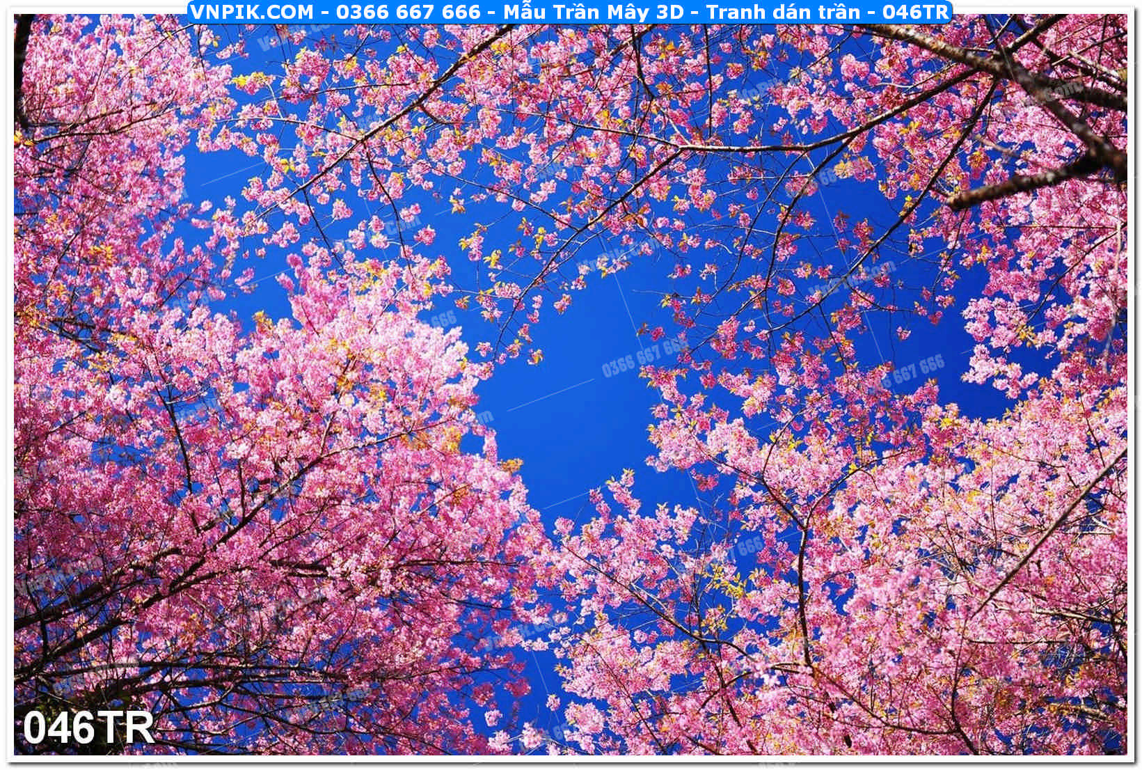 Mẫu Trần Mây 3D – Tranh dán trần 046TR