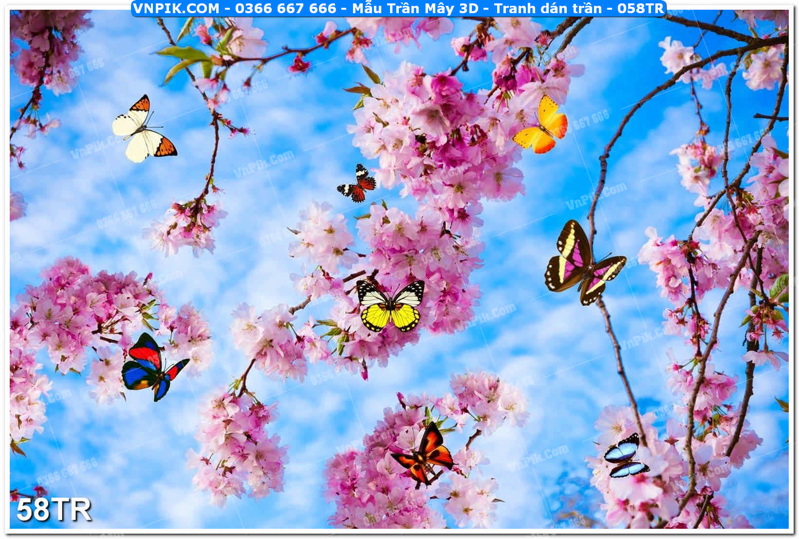 Mẫu Trần Mây 3D – Tranh dán trần 058TR