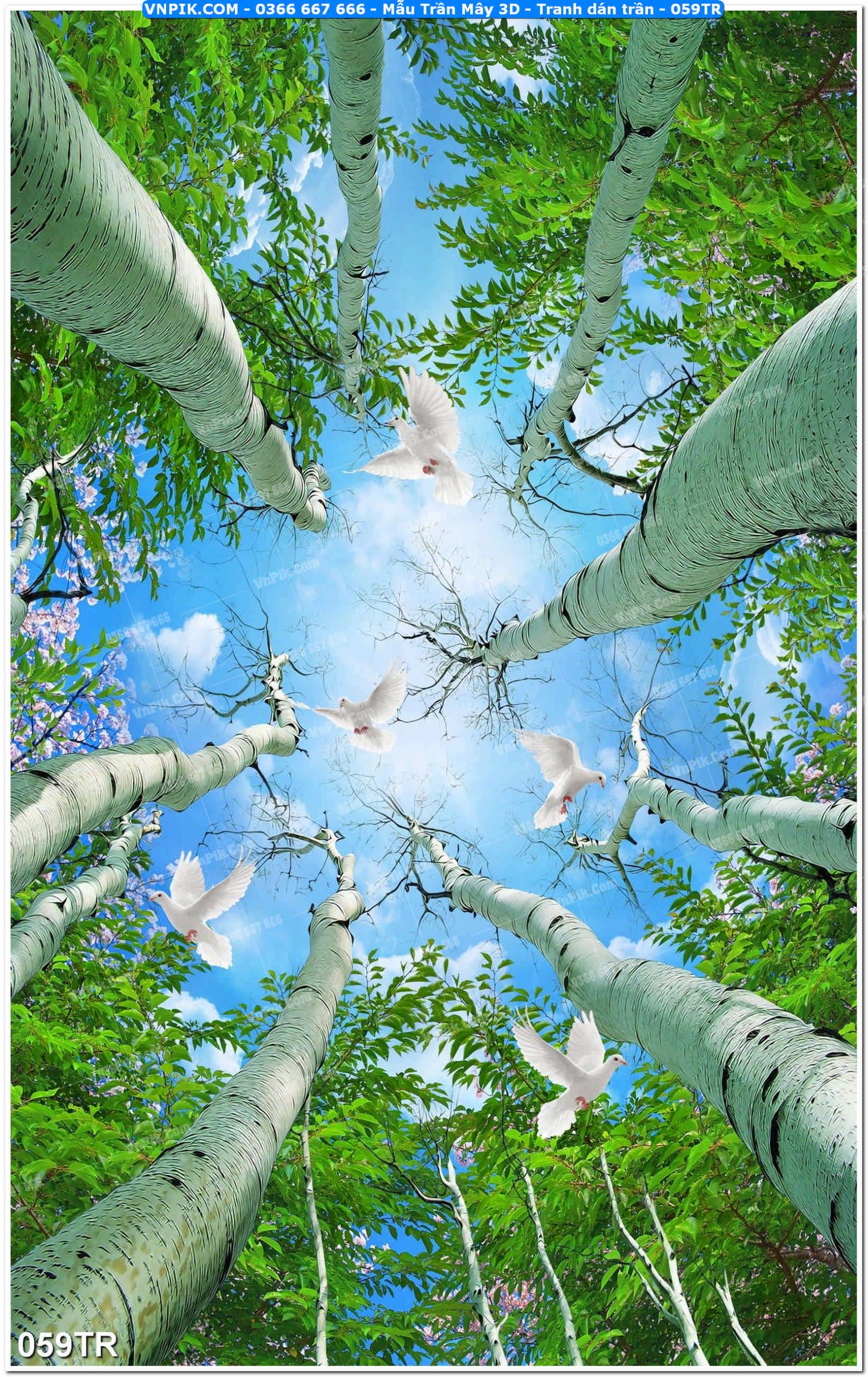 Mẫu Trần Mây 3D – Tranh dán trần 059TR