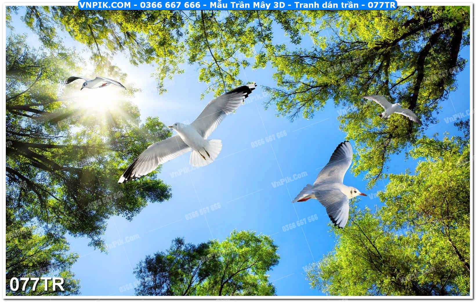 Mẫu Trần Mây 3D – Tranh dán trần 077TR