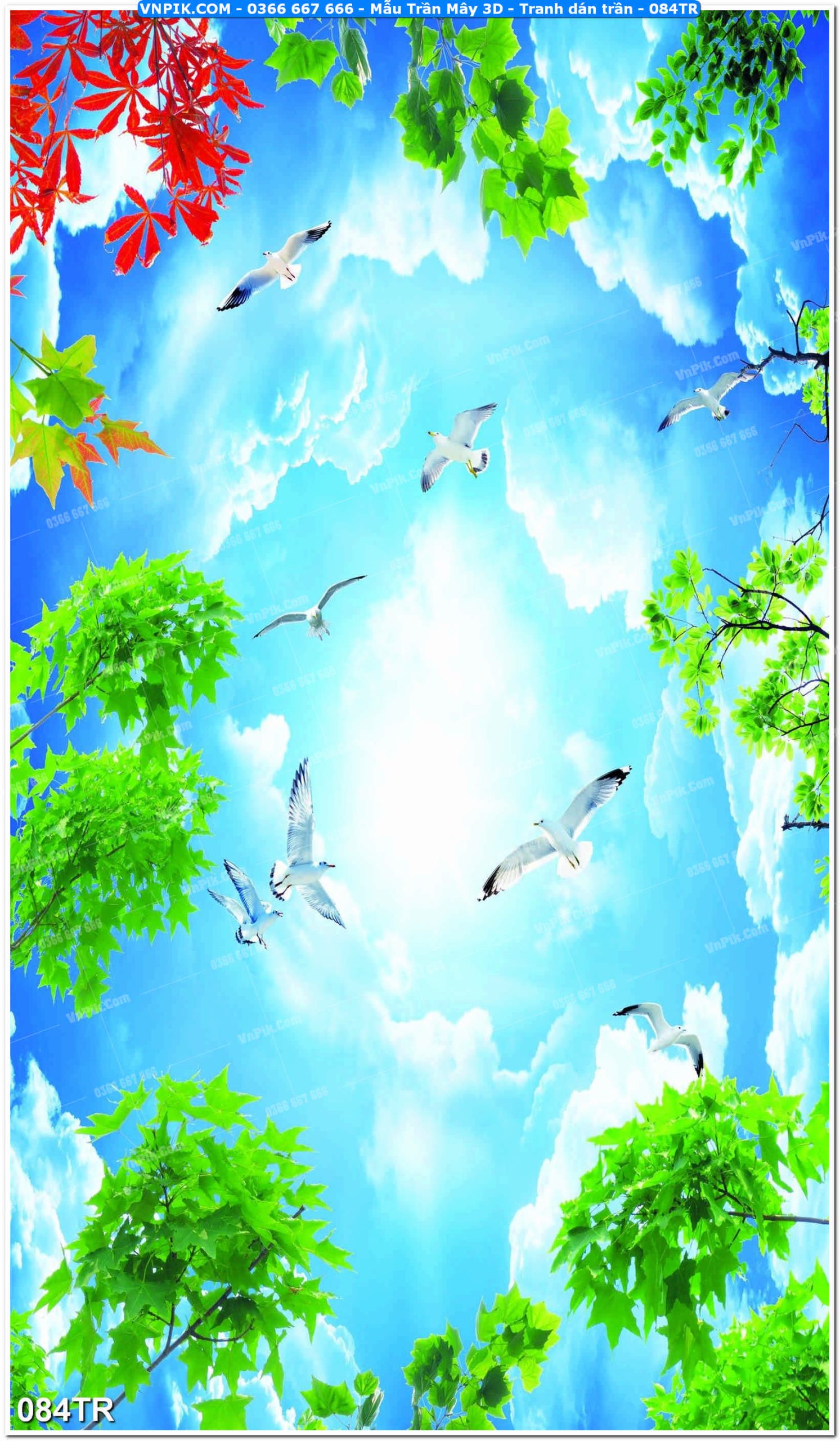 Mẫu Trần Mây 3D – Tranh dán trần 084TR