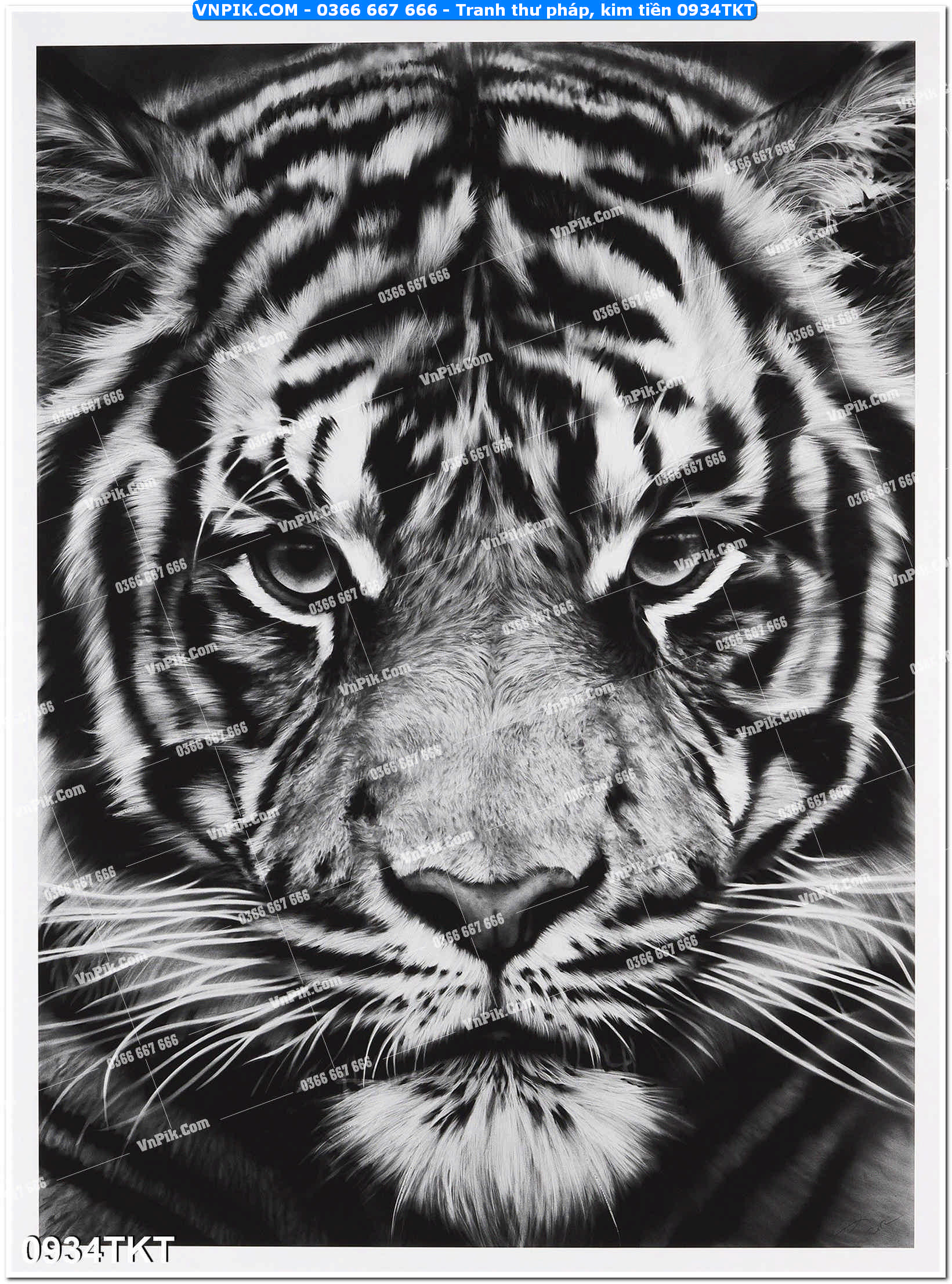 Tranh Thư Pháp – Kim Tiền 0934TKT